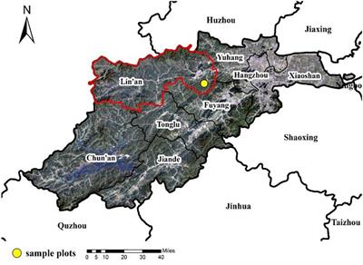 Effects of Different Management Practices on the Increase in Phytolith-Occluded Carbon in Moso Bamboo Forests